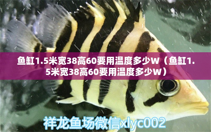 魚(yú)缸1.5米寬38高60要用溫度多少W（魚(yú)缸1.5米寬38高60要用溫度多少W） 魚(yú)缸百科