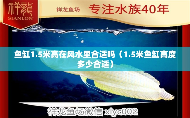 魚缸1.5米高在風水里合適嗎（1.5米魚缸高度多少合適） 魚缸風水