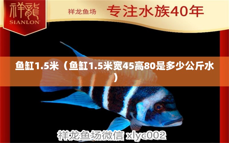 魚缸1.5米（魚缸1.5米寬45高80是多少公斤水）