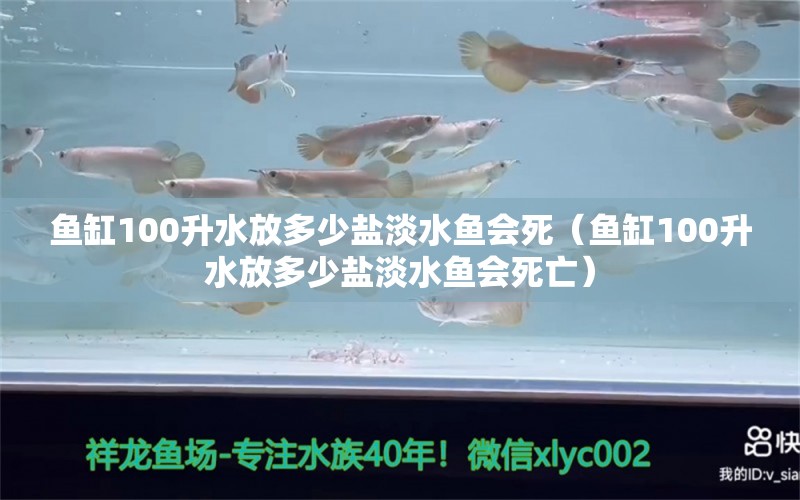 魚缸100升水放多少鹽淡水魚會死（魚缸100升水放多少鹽淡水魚會死亡）