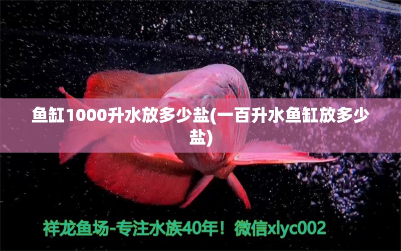 魚(yú)缸1000升水放多少鹽(一百升水魚(yú)缸放多少鹽) 白子黑帝王魟魚(yú)