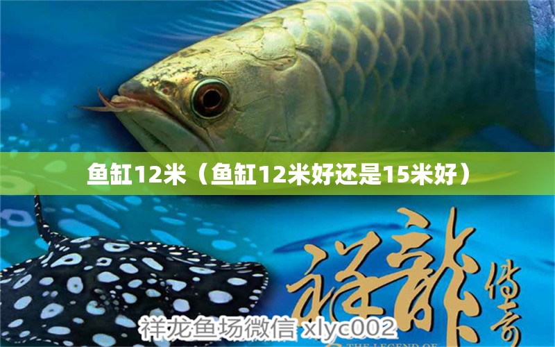 魚缸12米（魚缸12米好還是15米好）