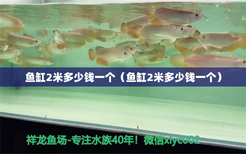 魚缸2米多少錢一個(gè)（魚缸2米多少錢一個(gè)） 魚缸百科