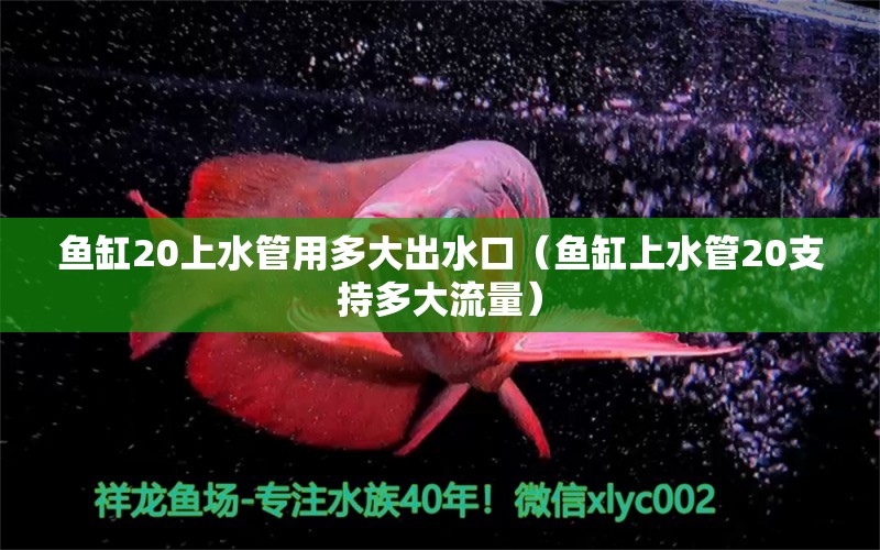 魚缸20上水管用多大出水口（魚缸上水管20支持多大流量）