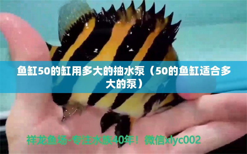 魚缸50的缸用多大的抽水泵（50的魚缸適合多大的泵）