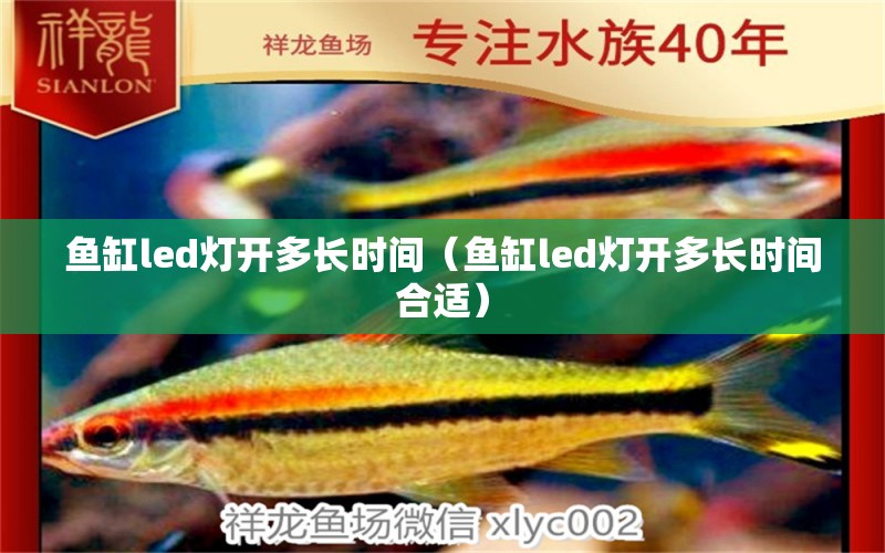 魚缸led燈開多長時間（魚缸led燈開多長時間合適） 觀賞魚批發(fā)