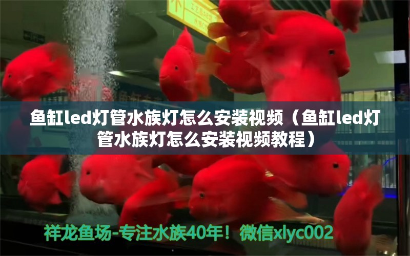 魚(yú)缸led燈管水族燈怎么安裝視頻（魚(yú)缸led燈管水族燈怎么安裝視頻教程）