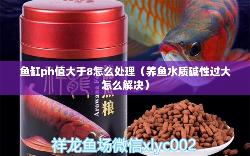 魚缸ph值大于8怎么處理（養(yǎng)魚水質(zhì)堿性過大怎么解決） 白子關(guān)刀魚