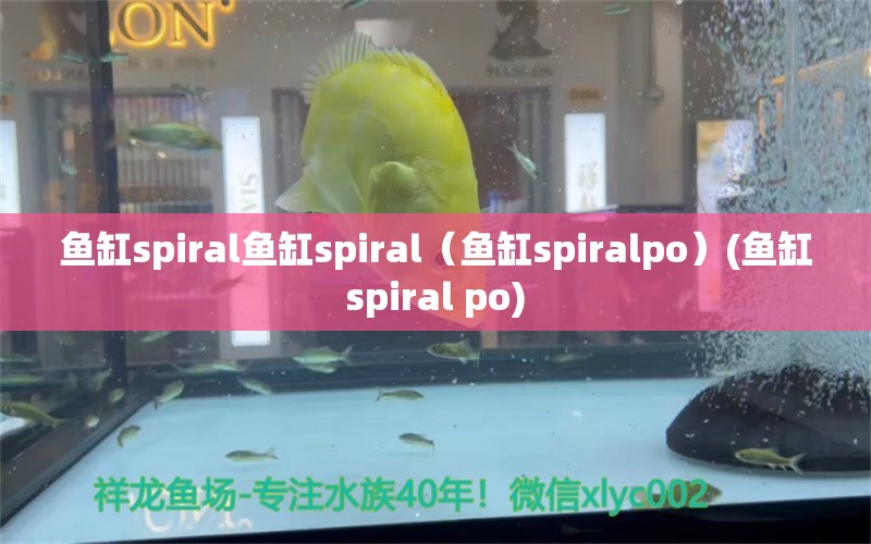 魚缸spiral魚缸spiral（魚缸spiralpo）(魚缸spiral po)