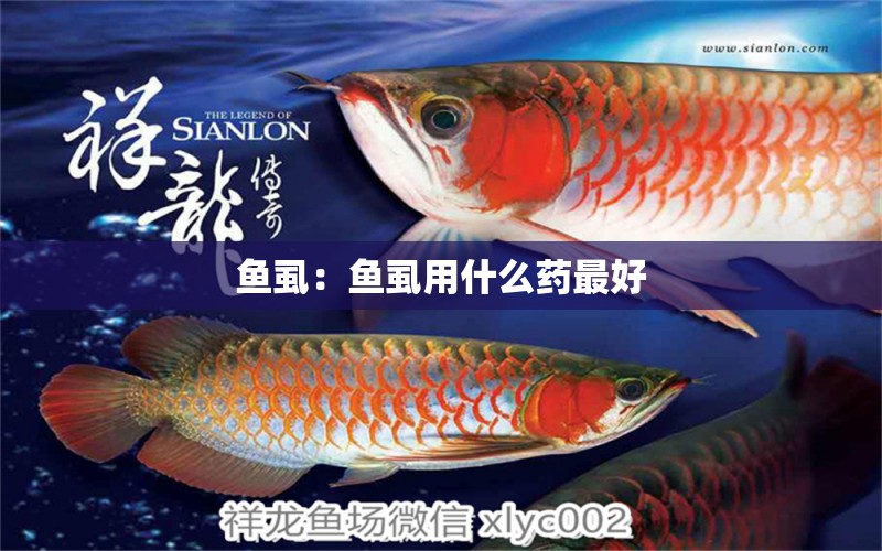 魚虱：魚虱用什么藥最好