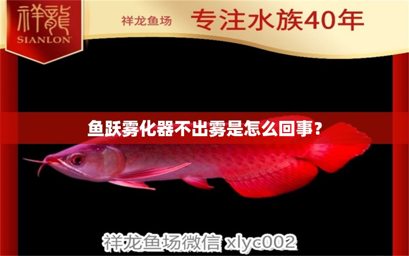 魚躍霧化器不出霧是怎么回事？