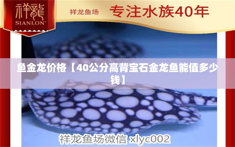 魚金龍價格【40公分高背寶石金龍魚能值多少錢】