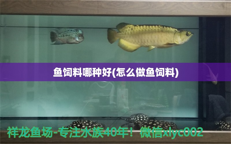 魚飼料哪種好(怎么做魚飼料)