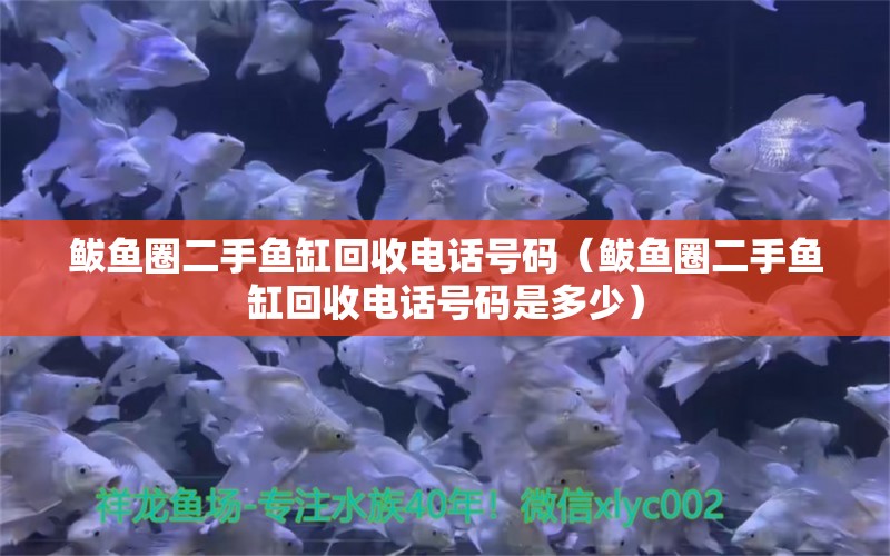 鲅魚圈二手魚缸回收電話號碼（鲅魚圈二手魚缸回收電話號碼是多少）