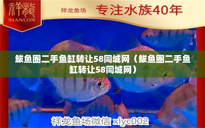 鲅魚圈二手魚缸轉(zhuǎn)讓58同城網(wǎng)（鲅魚圈二手魚缸轉(zhuǎn)讓58同城網(wǎng)）