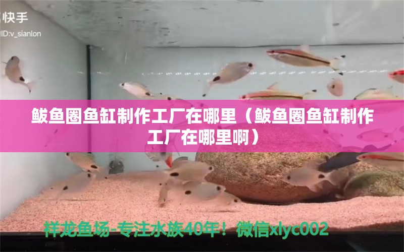 鲅魚圈魚缸制作工廠在哪里（鲅魚圈魚缸制作工廠在哪里?。?觀賞魚市場（混養(yǎng)魚）