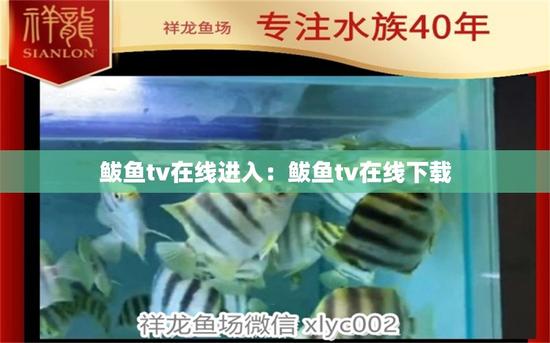 鲅魚(yú)tv在線進(jìn)入：鲅魚(yú)tv在線下載