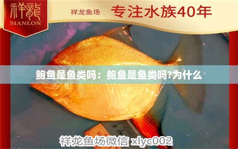 鮑魚是魚類嗎：鮑魚是魚類嗎?為什么