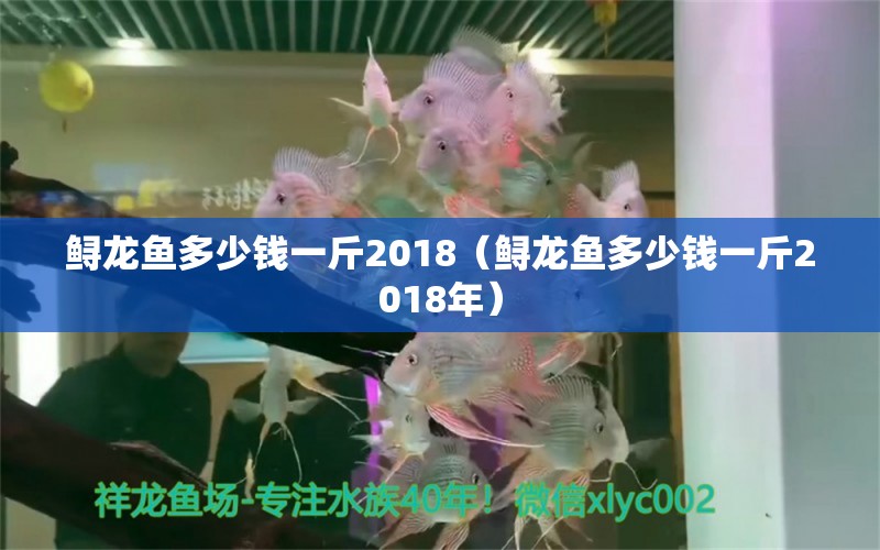 鱘龍魚多少錢一斤2018（鱘龍魚多少錢一斤2018年）