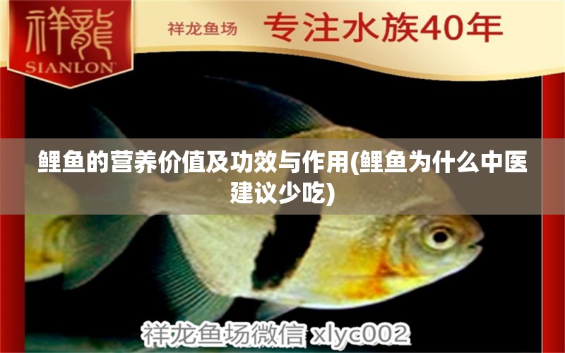 鯉魚的營養(yǎng)價(jià)值及功效與作用(鯉魚為什么中醫(yī)建議少吃) 泰國虎魚（泰虎）