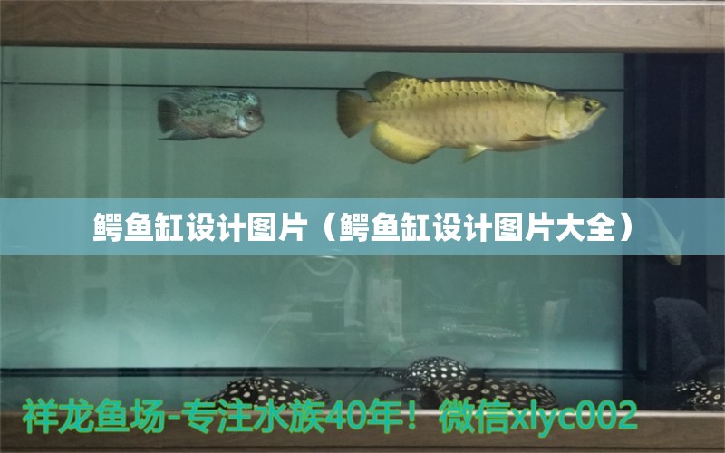 鱷魚缸設(shè)計圖片（鱷魚缸設(shè)計圖片大全）