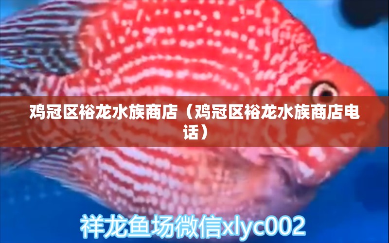 雞冠區(qū)裕龍水族商店（雞冠區(qū)裕龍水族商店電話） ?；?異型虎魚/純色虎魚