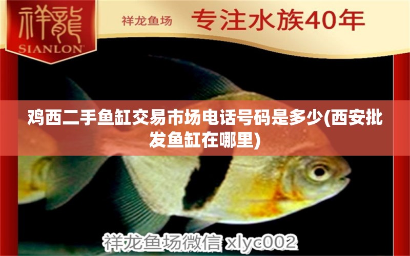 雞西二手魚缸交易市場電話號(hào)碼是多少(西安批發(fā)魚缸在哪里) 龍魚專用燈