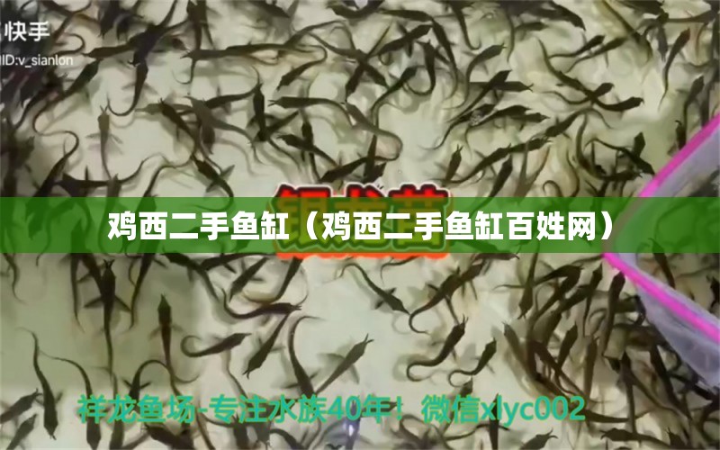 雞西二手魚(yú)缸（雞西二手魚(yú)缸百姓網(wǎng)）