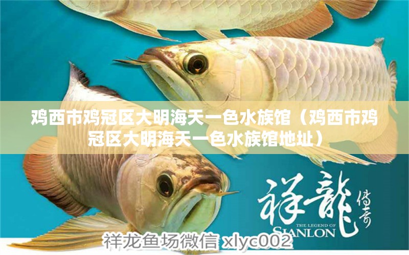 雞西市雞冠區(qū)大明海天一色水族館（雞西市雞冠區(qū)大明海天一色水族館地址）