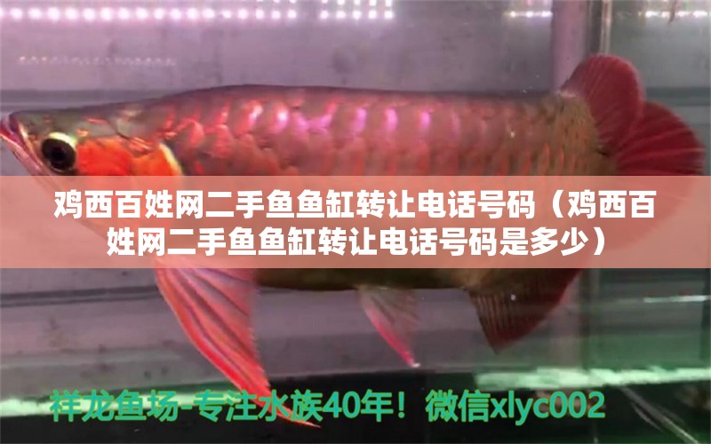 雞西百姓網(wǎng)二手魚魚缸轉(zhuǎn)讓電話號碼（雞西百姓網(wǎng)二手魚魚缸轉(zhuǎn)讓電話號碼是多少）