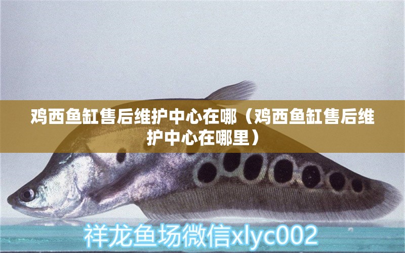 雞西魚缸售后維護中心在哪（雞西魚缸售后維護中心在哪里）