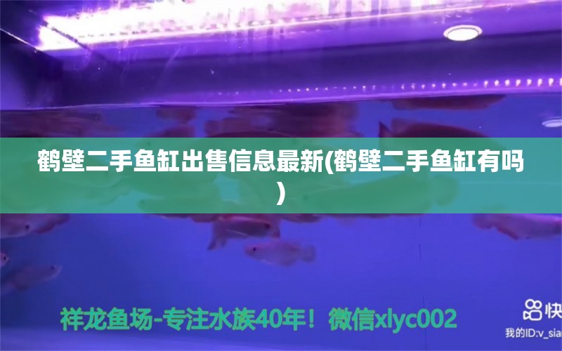 鶴壁二手魚缸出售信息最新(鶴壁二手魚缸有嗎) 祥龍水族醫(yī)院