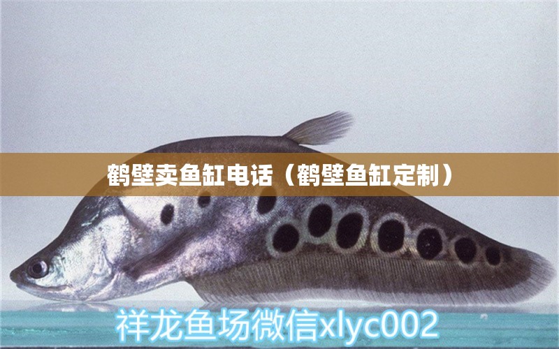 鶴壁賣(mài)魚(yú)缸電話（鶴壁魚(yú)缸定制）