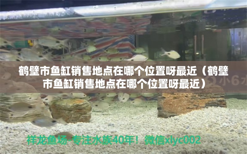 鶴壁市魚缸銷售地點在哪個位置呀最近（鶴壁市魚缸銷售地點在哪個位置呀最近）