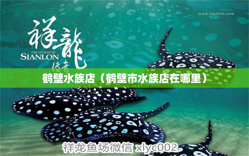 鶴壁水族店（鶴壁市水族店在哪里）