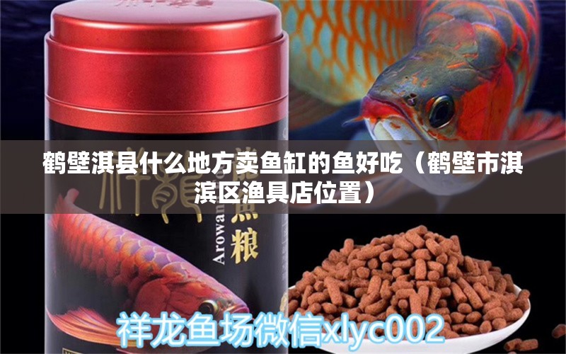 鶴壁淇縣什么地方賣魚缸的魚好吃（鶴壁市淇濱區(qū)漁具店位置）