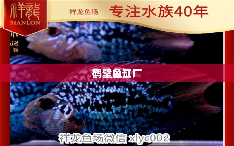 鶴壁魚缸廠