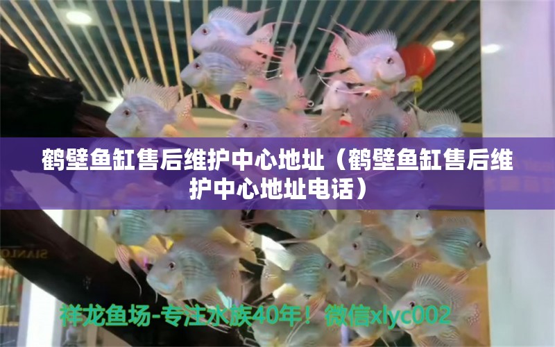 鶴壁魚缸售后維護(hù)中心地址（鶴壁魚缸售后維護(hù)中心地址電話） 其他品牌魚缸