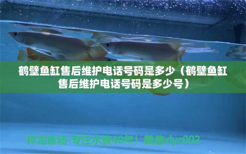 鶴壁魚缸售后維護電話號碼是多少（鶴壁魚缸售后維護電話號碼是多少號） 其他品牌魚缸