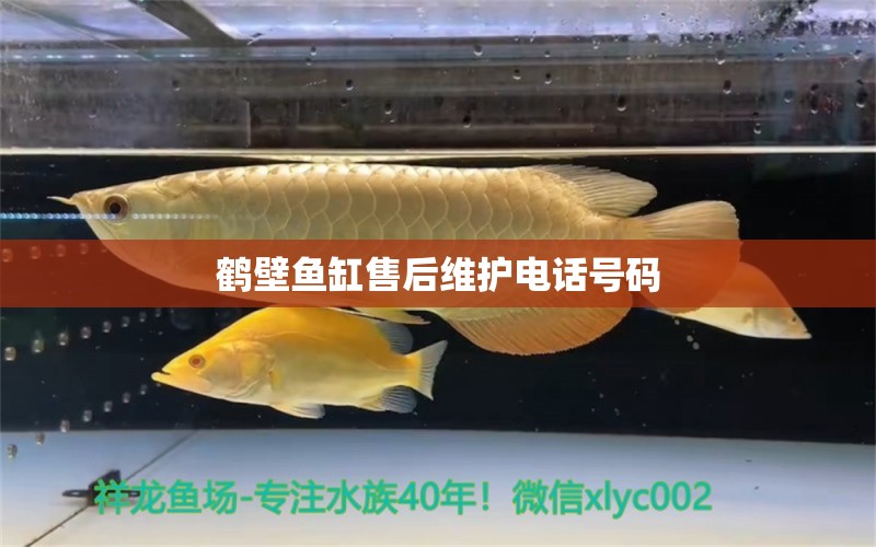 鶴壁魚缸售后維護(hù)電話號(hào)碼 其他品牌魚缸