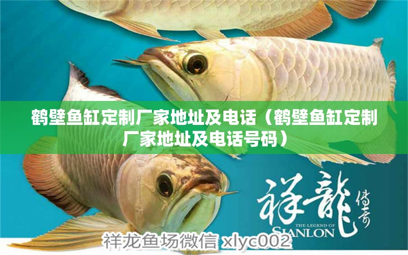 鶴壁魚(yú)缸定制廠家地址及電話（鶴壁魚(yú)缸定制廠家地址及電話號(hào)碼）