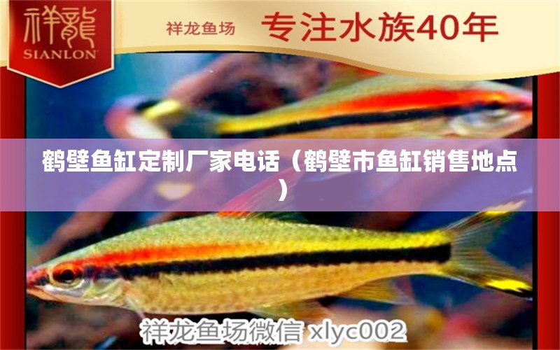 鶴壁魚缸定制廠家電話（鶴壁市魚缸銷售地點） 申古三間魚