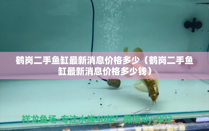 鶴崗二手魚缸最新消息價格多少（鶴崗二手魚缸最新消息價格多少錢）