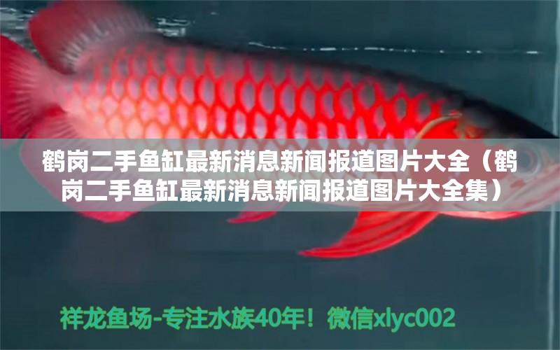 鶴崗二手魚缸最新消息新聞報(bào)道圖片大全（鶴崗二手魚缸最新消息新聞報(bào)道圖片大全集） 委內(nèi)瑞拉奧里諾三間魚