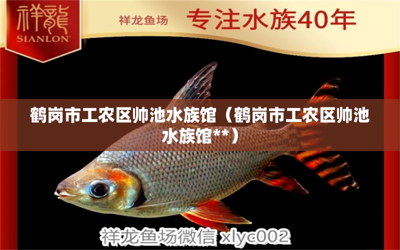 鶴崗市工農(nóng)區(qū)帥池水族館（鶴崗市工農(nóng)區(qū)帥池水族館**） 全國水族館企業(yè)名錄