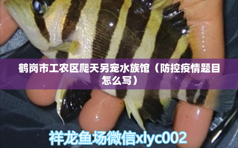 鶴崗市工農(nóng)區(qū)爬天另寵水族館（防控疫情題目怎么寫） 全國水族館企業(yè)名錄