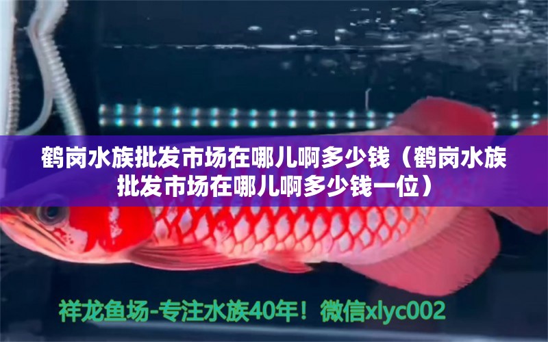 鶴崗水族批發(fā)市場在哪兒啊多少錢（鶴崗水族批發(fā)市場在哪兒啊多少錢一位） 觀賞魚水族批發(fā)市場