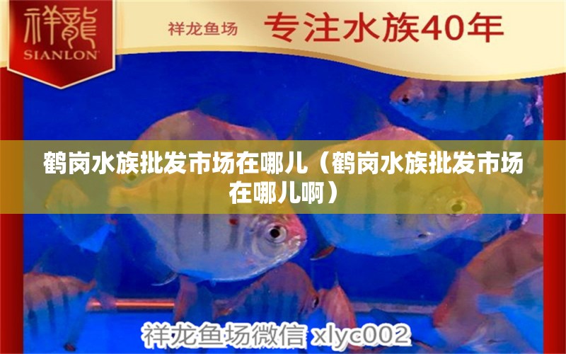 鶴崗水族批發(fā)市場在哪兒（鶴崗水族批發(fā)市場在哪兒?。? title=