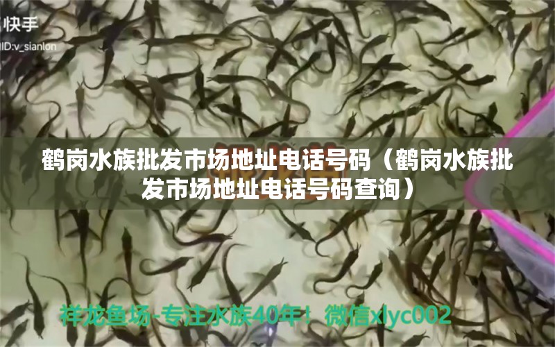 鶴崗水族批發(fā)市場地址電話號碼（鶴崗水族批發(fā)市場地址電話號碼查詢）