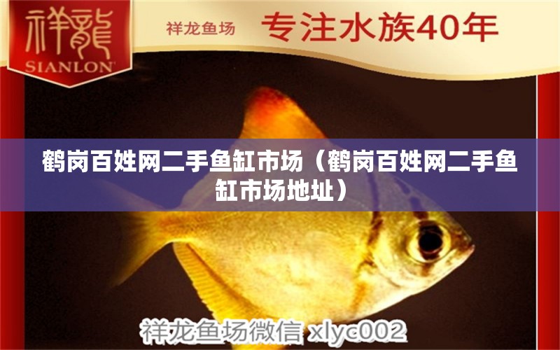 鶴崗百姓網(wǎng)二手魚缸市場（鶴崗百姓網(wǎng)二手魚缸市場地址） 森森魚缸